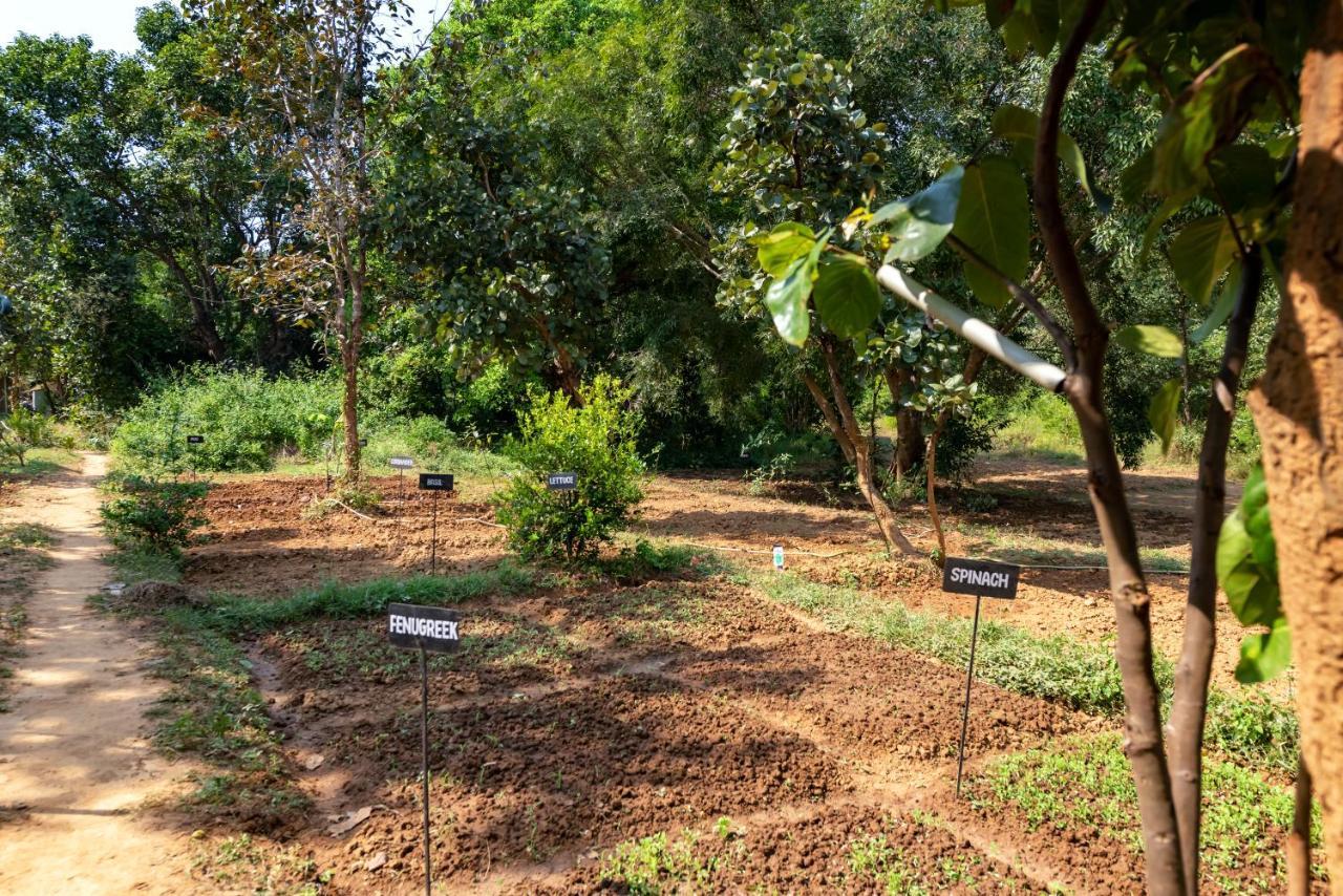 Kanha Jungle Camp Dış mekan fotoğraf