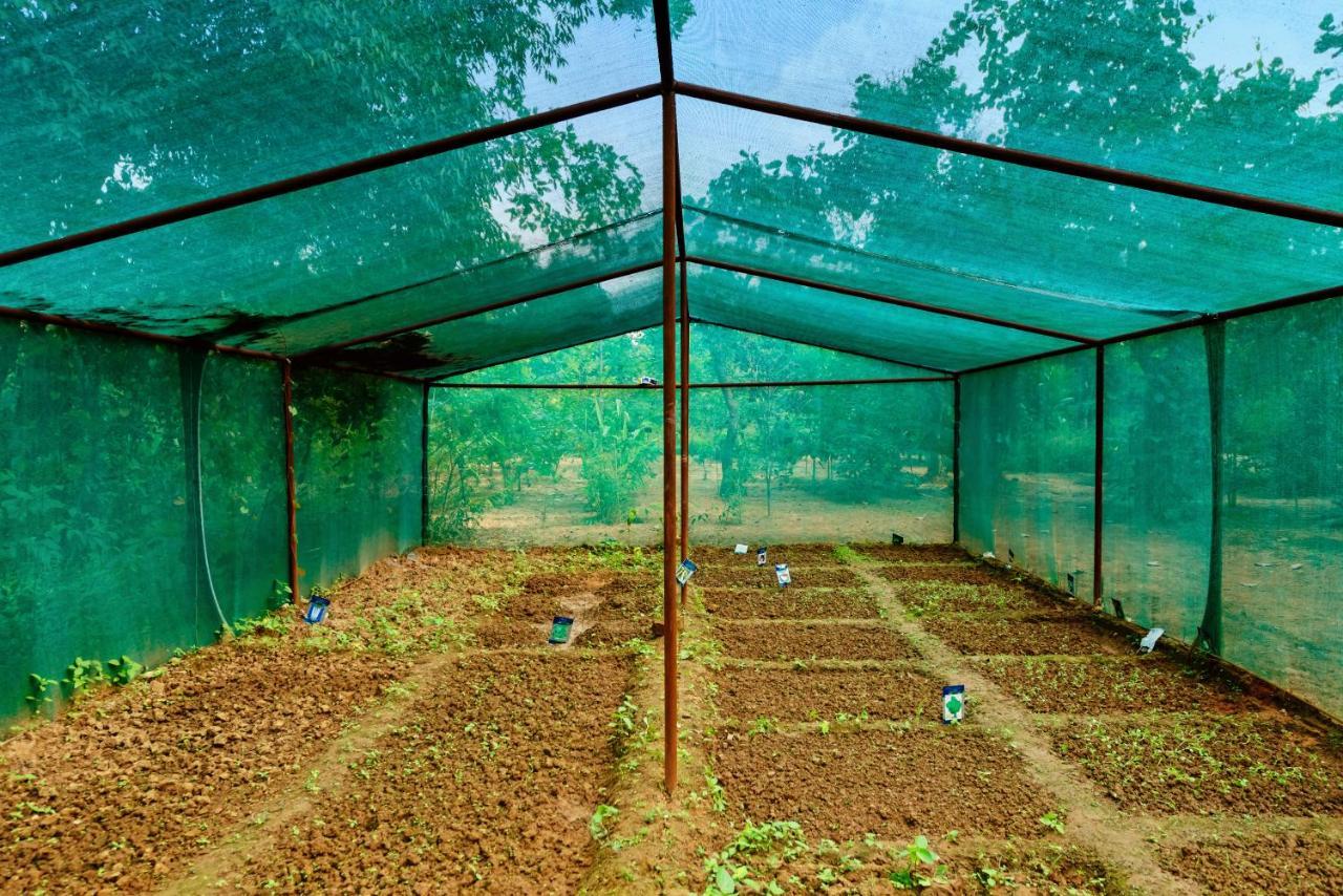 Kanha Jungle Camp Dış mekan fotoğraf