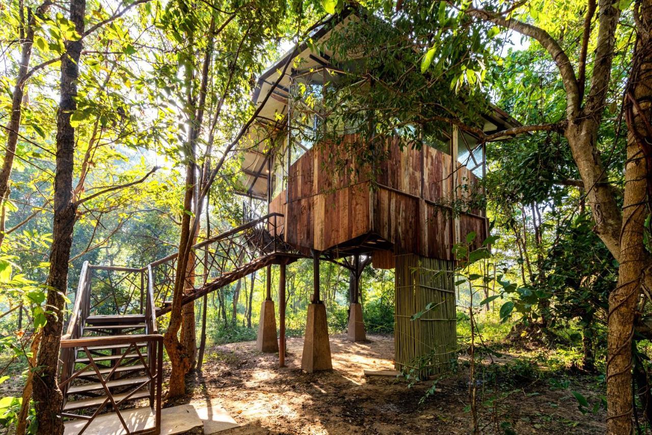 Kanha Jungle Camp Dış mekan fotoğraf