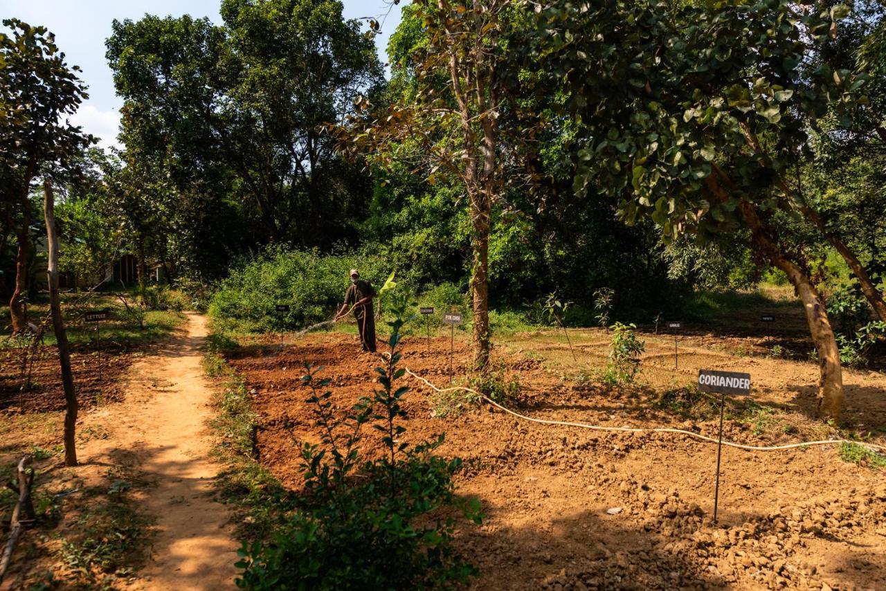 Kanha Jungle Camp Dış mekan fotoğraf