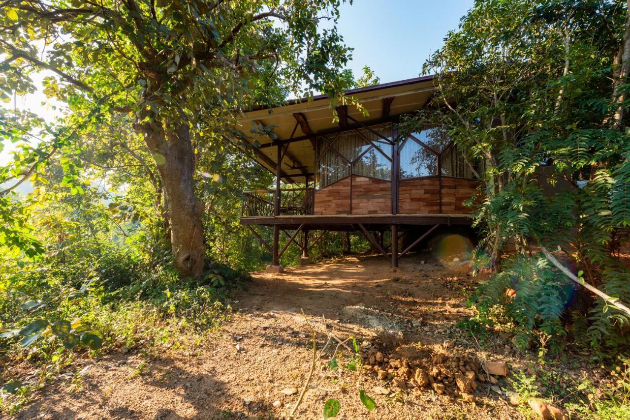 Kanha Jungle Camp Dış mekan fotoğraf